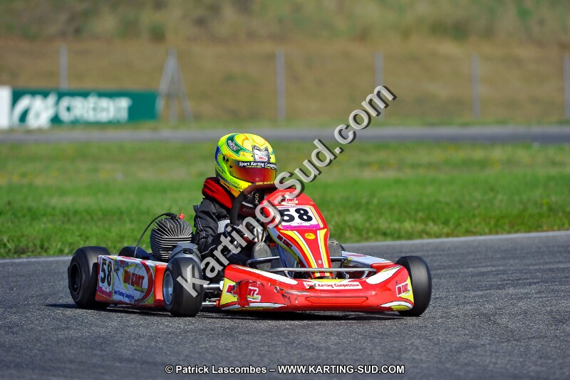 DSC_ (1248).jpg